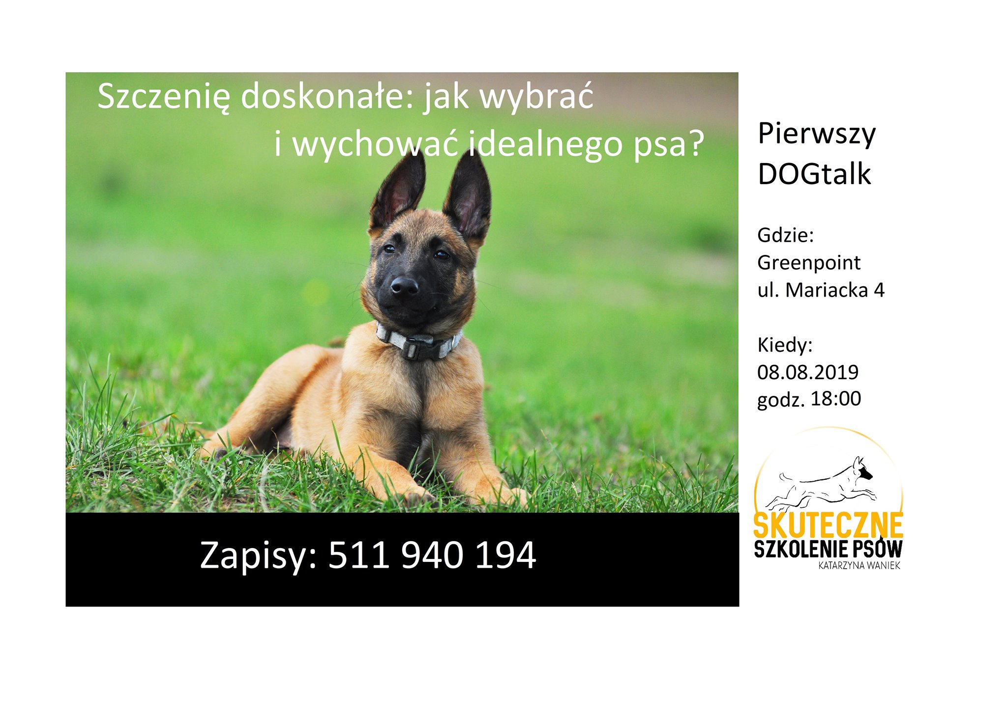 Szczenię doskonałe: jak wybrać i wychować idealnego psa?